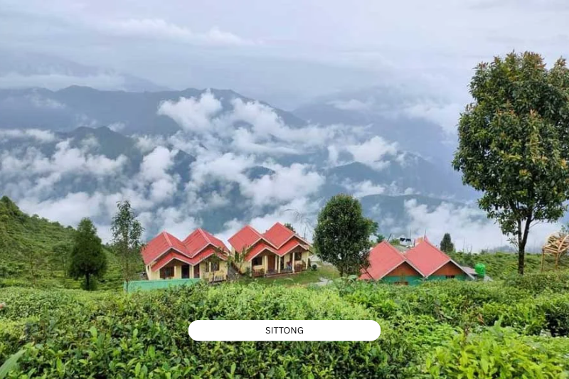 Sittong (2)